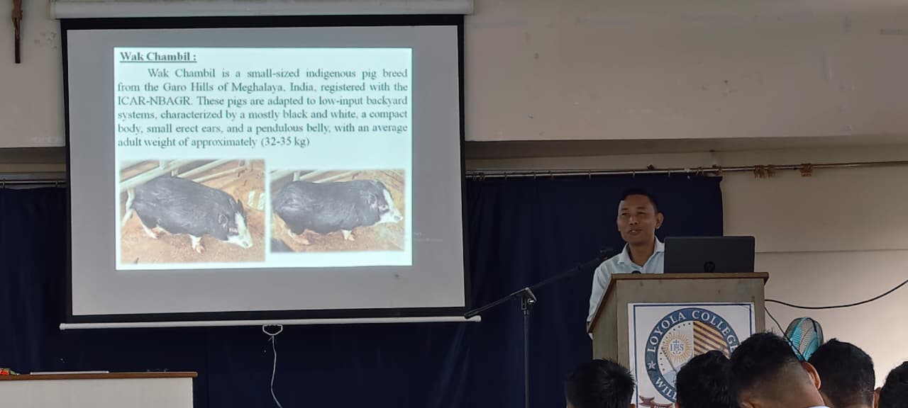 Dr. Sengkan K. Marak sharing insights on scientific piggery management