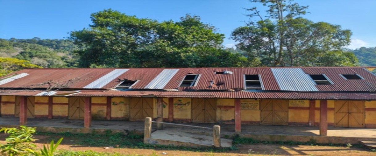 Old Roof
